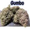 GUMBO 28grams Oz SALE 29%THC INDICA 🔥🔥