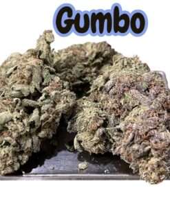 GUMBO 28grams Oz SALE 29%THC INDICA 🔥🔥