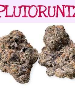 PLUTORUNTZ 3.5grams INDICA 35%THC EXOTICS 🔥🔥