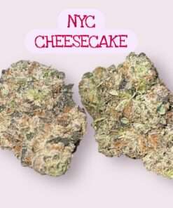 NYC CHEESECAKE 3.5grams HYBRID 36%THC 🔥 EXOTICS 🔥