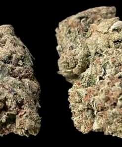 CINDERELLA 99 SATIVA 28grams OZ ON SALE 25%THC  🔥🔥