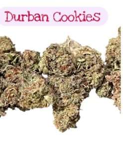 DURBAN COOKIES 7GRAMS QUARTER SATIVA DOM
