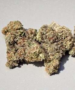 DURBAN COOKIES 7GRAMS QUARTER SATIVA DOM