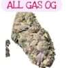 ALL GAS OG 28grams OZ SALE 25%THC INDICA
