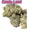 CANDY LAND 28g OZ ON SALE SATIVA 🔥🔥 29%THC