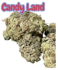 CANDY LAND 28g OZ ON SALE SATIVA 🔥🔥 29%THC