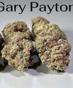 Gary Payton🔥🔥28g OZ ON SALE  Hybrid SALE !! NEW BATCH 28%THC