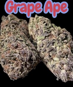 GRAPE APE 🍇 28 grams Oz INDICA 25%THC 🔥🔥
