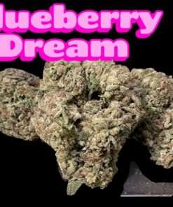 BLUBERRY DREAM 28 grams OZ SATIVA 25% THC
