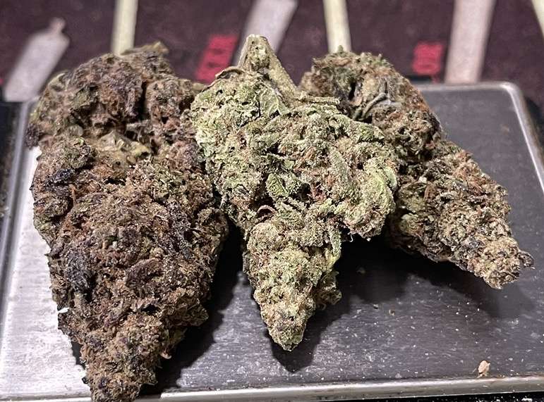 ZRUNTZ 7 GRAMS QUARTER 25%THC INDICA SALE ZRUNTZ 7 GRAMS QUARTER 25%THC INDICA SALE