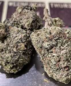 NORTHERN LIGHTS 28grams INDICA 23%THC