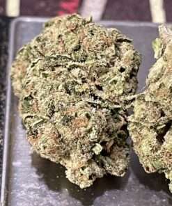 ROCKET RUNTZ 28grams OZ HYBRID 25%THC SALE