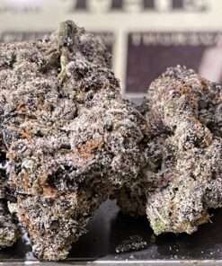 Manhattan GUM DROP 38% THC (GOONIES TED BUDS) INDICA EXOTICS 🔥🔥