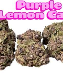 PURPLE LEMON CAKE 🍰 28grams SATIVA 25%THC 🔥🔥
