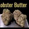 LOBSTER BUTTER 28grams OZ 29%THC HYBRID