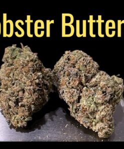 LOBSTER BUTTER 28grams OZ 29%THC HYBRID