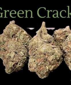 GREEN CRACK 28grams OZ SALE 24% THC SATIVA