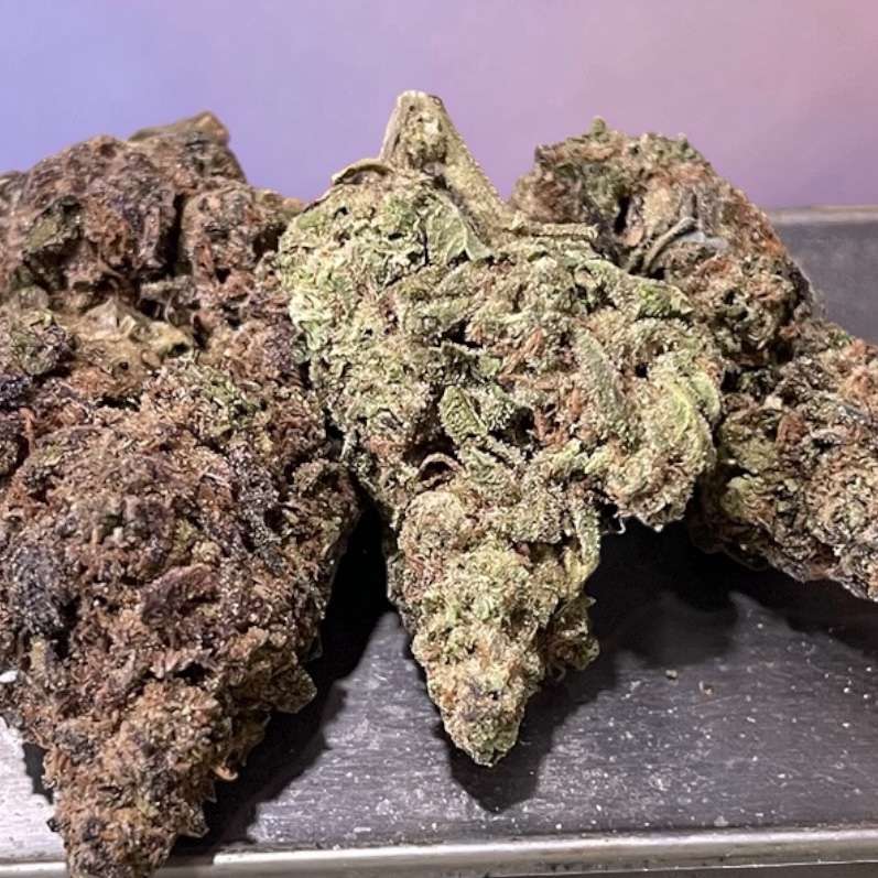 ZRuntz Review: A Candy-Coated Hybrid Packed With Fruity Terpenes and Potent, Euphoric Effects