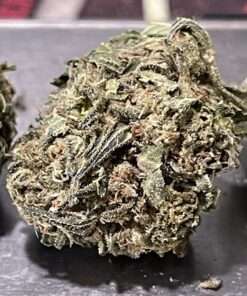GMO COOKIES 7GRAMS QUARTER ON SALE  25%THC  INDICA