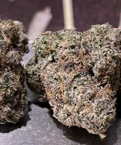 PINK LOBSTER 🦞 3.5G INDiCA 36%THC EXOTICS