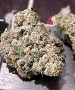 BODEGA CANDY 3.5grams EXOTICS 37%THC INDICA 🎉420 SALE🎉