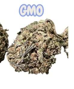 GMO COOKIES 7GRAMS QUARTER ON SALE  25%THC  INDICA