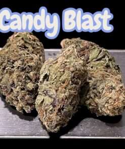 CANDY BLAST 28grams OZ ON SALE INDICA 24%THC