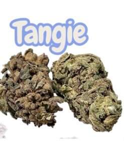 TANGIE 28grams Oz on SALE  SATIVA 24% THC