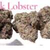 PINK LOBSTER 🦞 3.5G INDiCA 36%THC EXOTICS