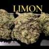 LIMON 🍋🍋28grams OZ SALE 25%THC SATIVA