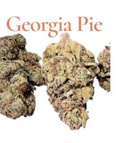 GEORGIA PIE 28g OZ ON SALE 26%THC HYBRID