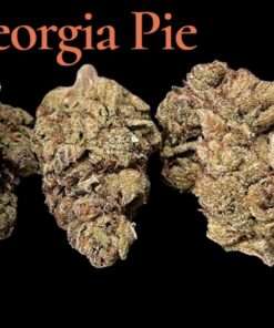 GEORGIA PIE 28g OZ ON SALE 26%THC HYBRID