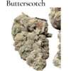 BUTTERSCOTCH GELATO 3.5g 36%THC 🎉MAY SALE🎉EXOTIC 🔥🔥HYBRID 🔥🔥
