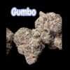GUMBO 28grams OZ INDICA EXOTICS 🏆🏆37%THC