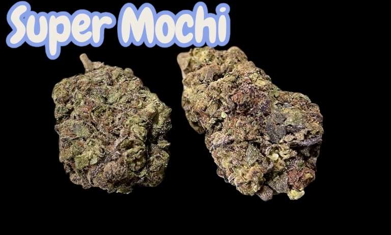SUPER MOCHI 28 grams HYBRID 29% THC 🔥🔥 SUPER MOCHI 28 grams HYBRID 29% THC 🔥🔥