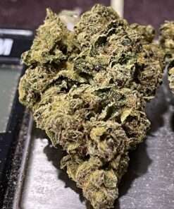 GIRL SCOUT COOKiES 28g OZ INDICA ON SALE 🔥🔥25%THC