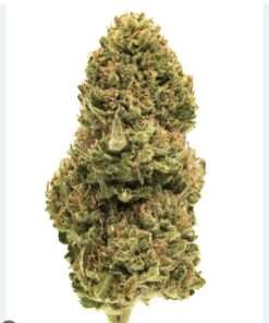 PINK GUAVA 28grams Oz ON SALE HYBRID 29%THC