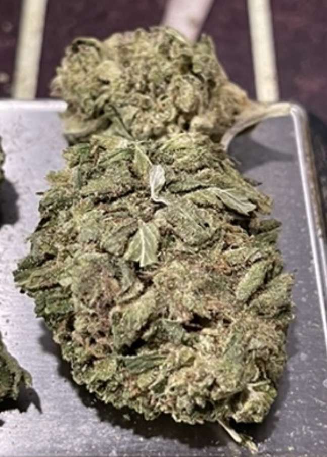 ALIEN OG 7 GRAMS QUARTER 🎉MOTHERS DAY SALE 🎉26%THC HYBRID ALIEN OG 7 GRAMS QUARTER 🎉MOTHERS DAY SALE 🎉26%THC HYBRID