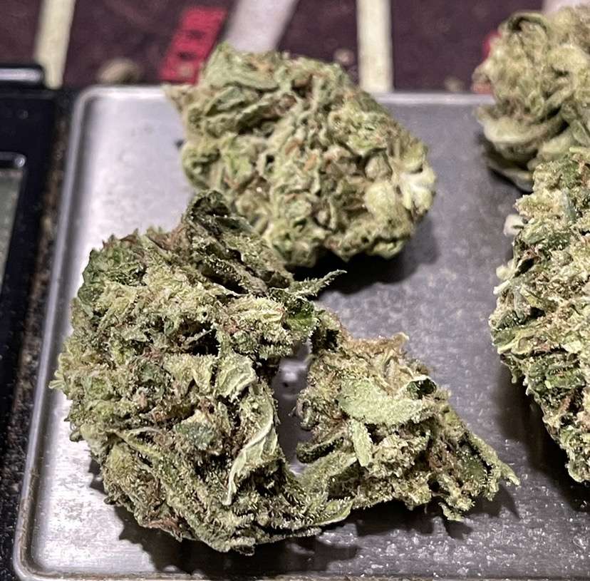 ALIEN OG 7 GRAMS QUARTER 🎉MOTHERS DAY SALE 🎉26%THC HYBRID ALIEN OG 7 GRAMS QUARTER 🎉MOTHERS DAY SALE 🎉26%THC HYBRID