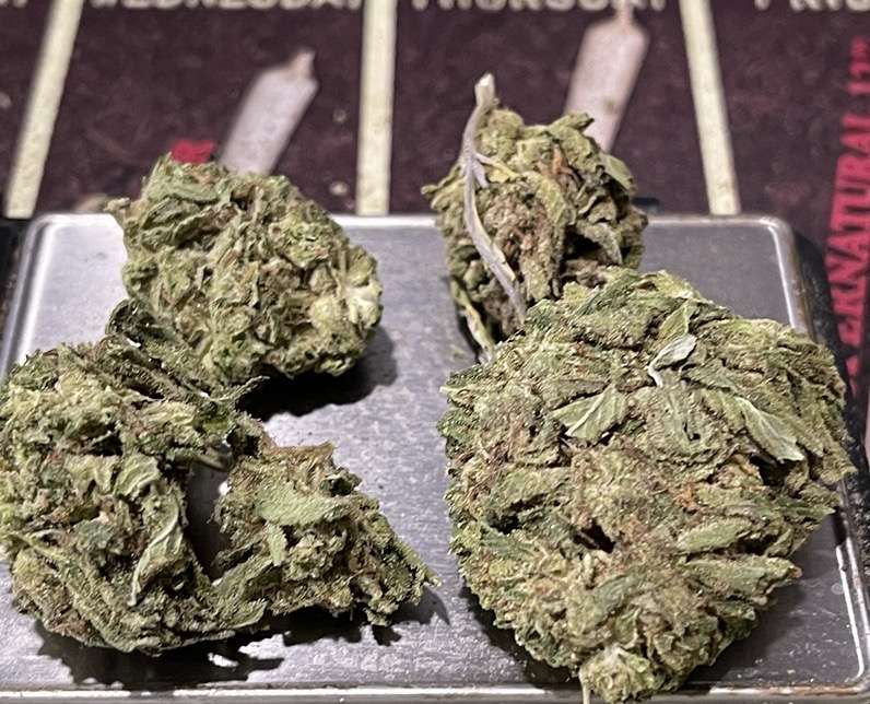 ALIEN OG 7 GRAMS QUARTER 🎉MOTHERS DAY SALE 🎉26%THC HYBRID ALIEN OG 7 GRAMS QUARTER 🎉MOTHERS DAY SALE 🎉26%THC HYBRID