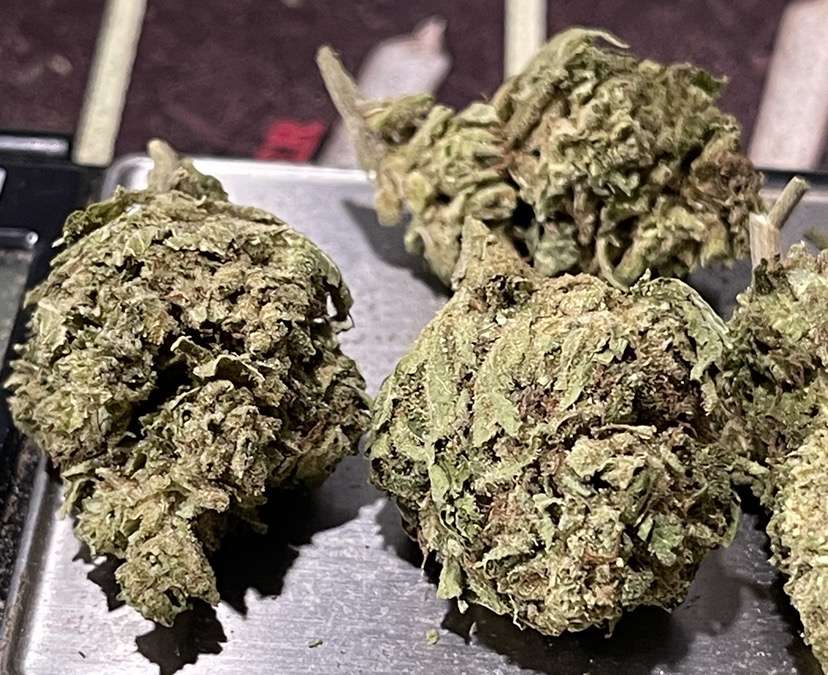 GELATO CAKE 7GRAMS 🎉SPRING SALE 🎉INDICA 24%THC GELATO CAKE 7GRAMS 🎉SPRING SALE 🎉INDICA 24%THC