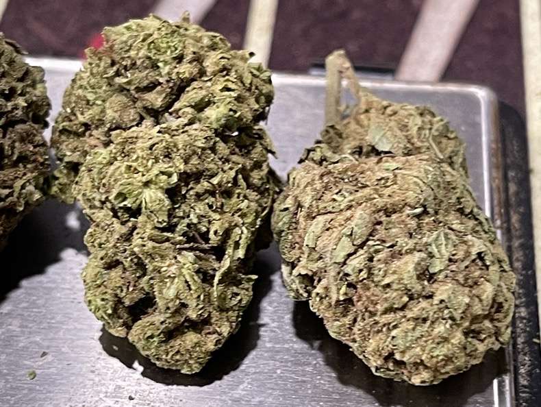 MELONADE 7GRAMS QUARTER 🎉SPRING SALE🎉 SATIVA 26%THC MELONADE 7GRAMS QUARTER 🎉SPRING SALE🎉 SATIVA 26%THC