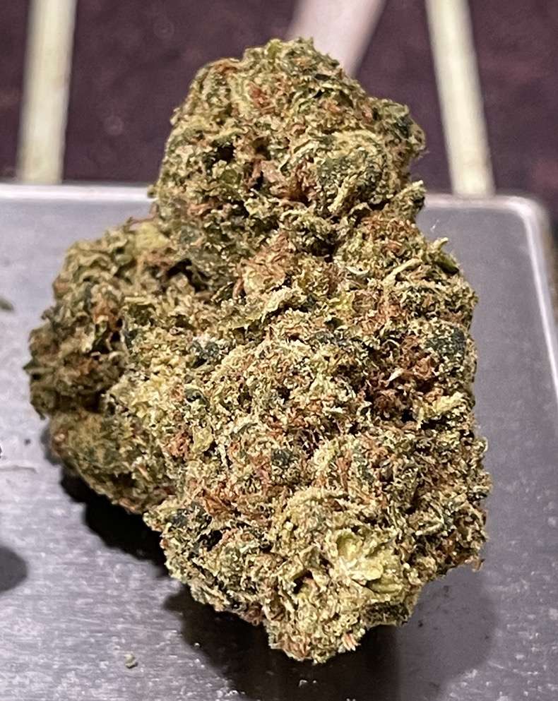 TANGIE COOKIES 28grams Oz 25%THC SATIVA TANGIE COOKIES 28grams Oz 25%THC SATIVA