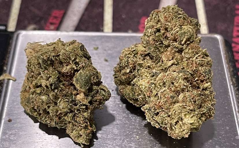 TANGIE COOKIES 28grams Oz 25%THC SATIVA TANGIE COOKIES 28grams Oz 25%THC SATIVA