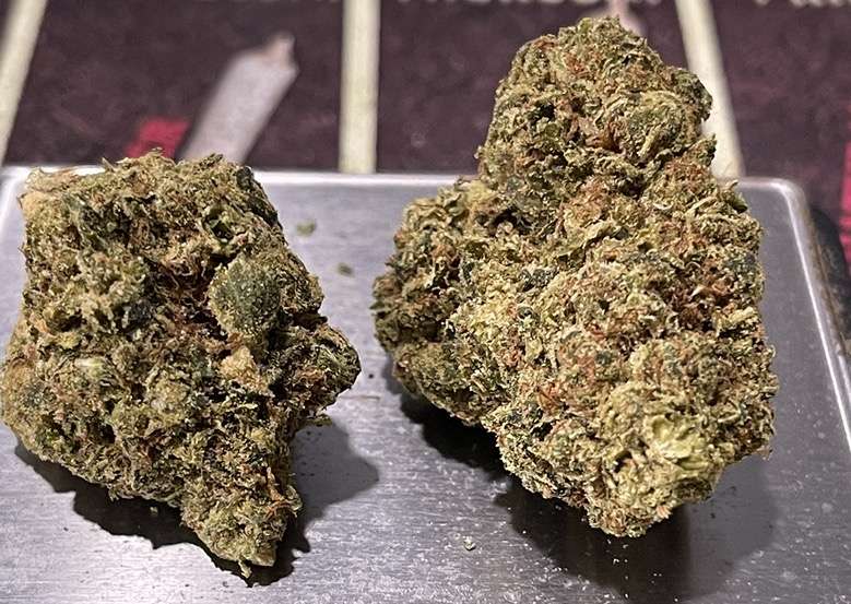 TANGIE COOKIES 28grams Oz 25%THC SATIVA TANGIE COOKIES 28grams Oz 25%THC SATIVA