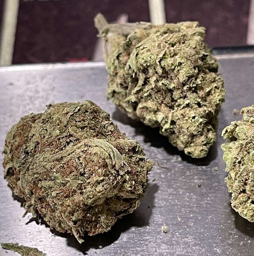 GARLIC 7grams QUARTER INDICA 24%THC 🇺🇸MEMORIAL DAY SALE 🇺🇸 GARLIC 7grams QUARTER INDICA 24%THC 🇺🇸MEMORIAL DAY SALE 🇺🇸