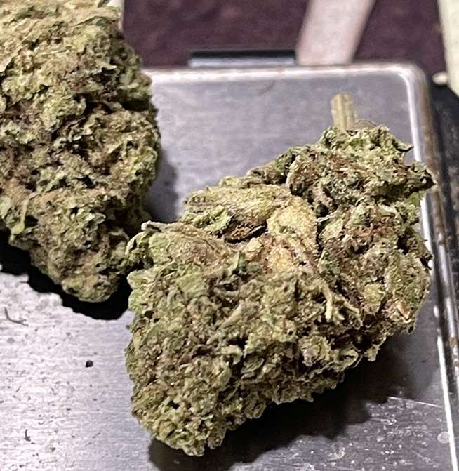 GARLIC 7grams QUARTER INDICA 24%THC 🇺🇸MEMORIAL DAY SALE 🇺🇸 GARLIC 7grams QUARTER INDICA 24%THC 🇺🇸MEMORIAL DAY SALE 🇺🇸