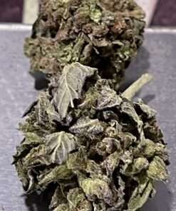 TEAR GAS 7grams QUARTER HYBRID 24%THC 🇺🇸MEMORIAL DAY SALE🇺🇸