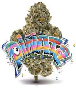 PINADA 3.5grams (JUNGLE BOYS)