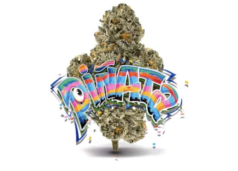 PINADA 3.5grams (JUNGLE BOYS) PINADA 3.5grams (JUNGLE BOYS)